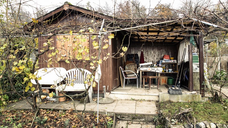 Wintertag im Schrebergarten Käferberg