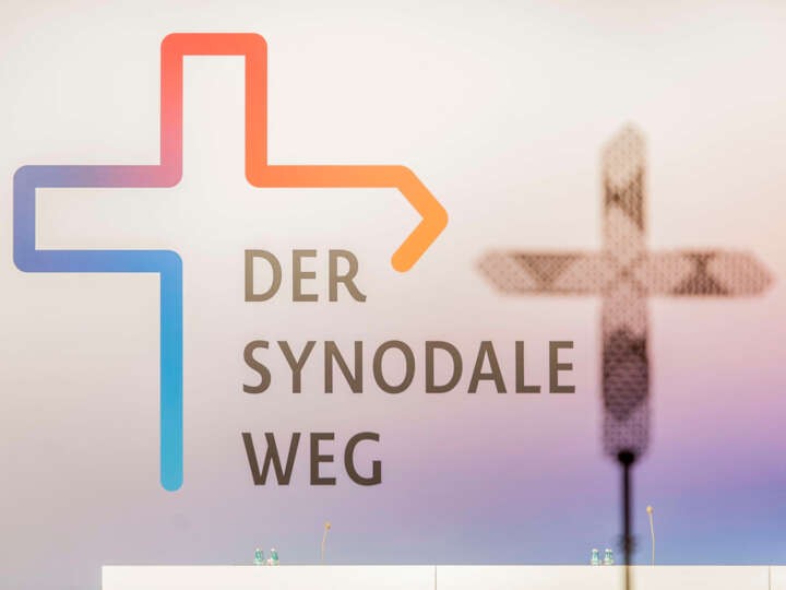 <a href="https://forum-pfarrblatt.ch/ausgaben/2023/03/dossier-synodaler-weg.html">Dossier «Synodaler Weg»</a>