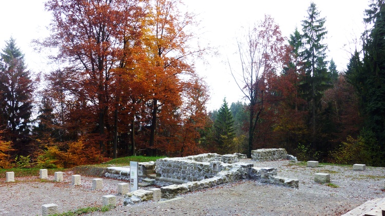 Die Ruinen des Klosters Beerenberg