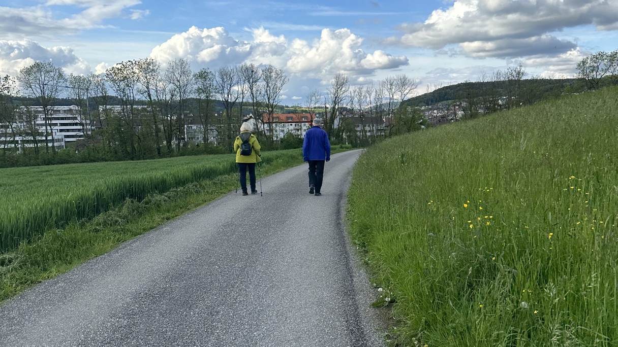 Wallfahrende auf Feldweg