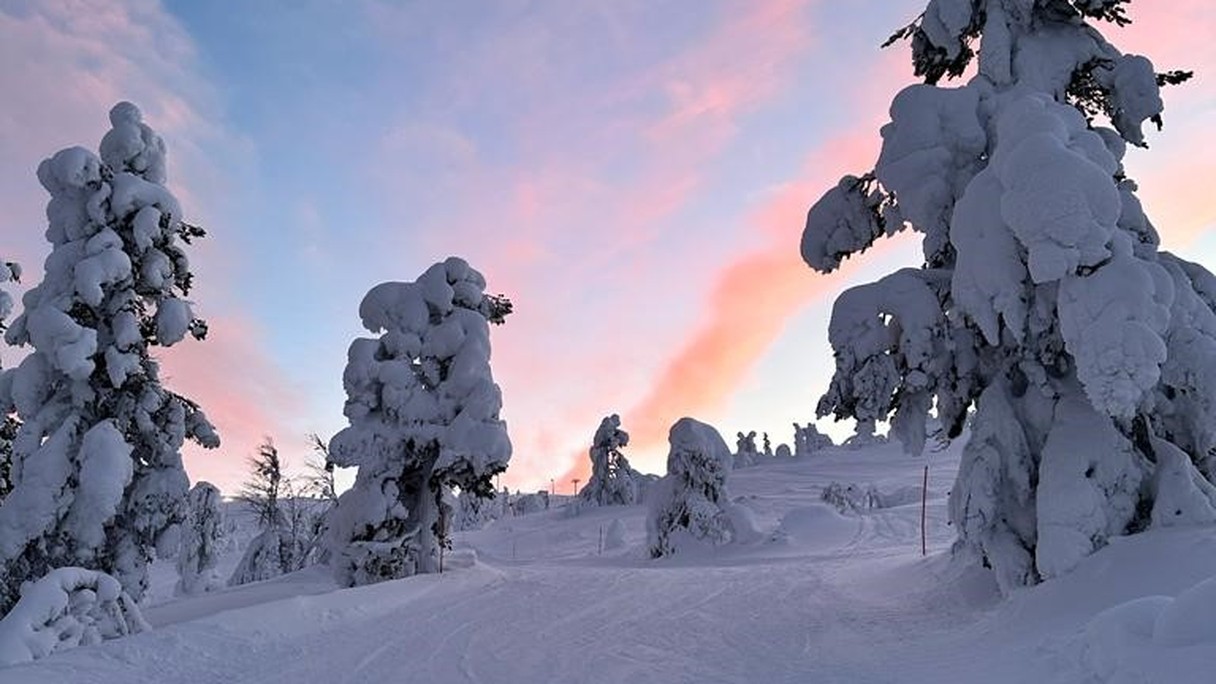 Winterlandschaft Lappland